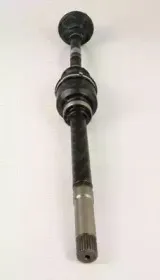 triscan-854028646