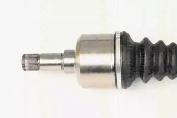 triscan-854028648