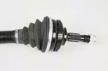 triscan-854028648