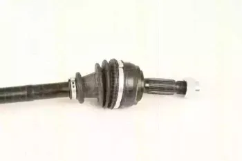 triscan-854028654