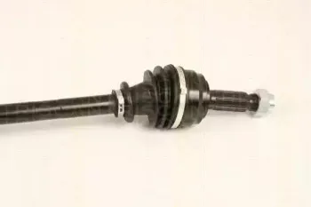 triscan-854028655