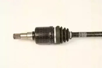 triscan-854028656