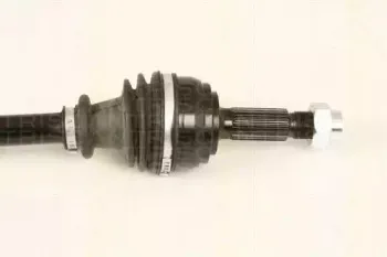 triscan-854028656