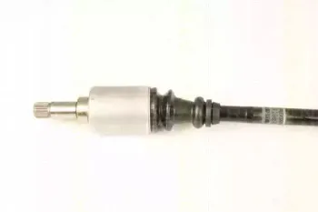 triscan-854028658