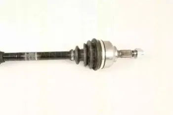 triscan-854028658