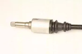 triscan-854028661