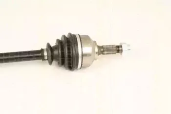 triscan-854028661