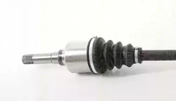 triscan-854028667