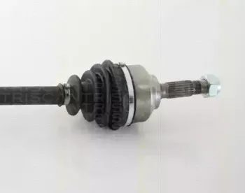 triscan-854028667