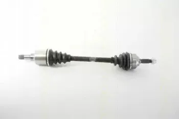triscan-854028668
