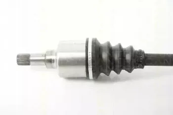triscan-854028668