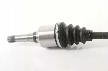 triscan-854028669
