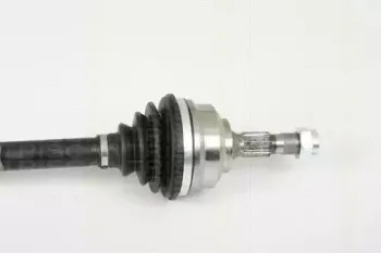 triscan-854028670