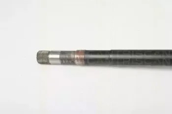 triscan-854028671