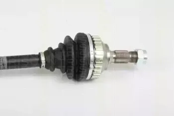 triscan-854028673