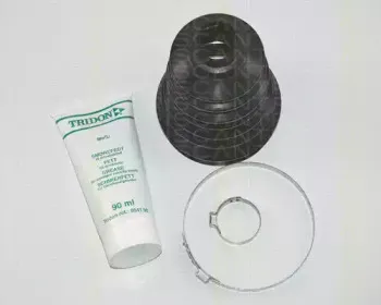 triscan-854028813