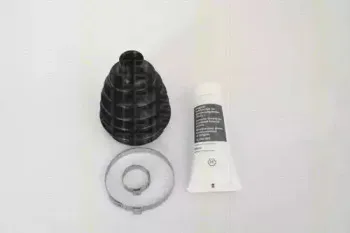 triscan-854028818