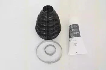 triscan-854028821