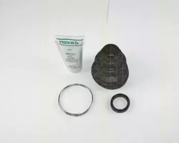 triscan-854028915
