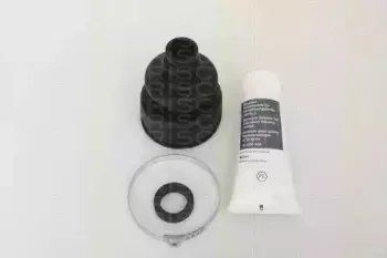 triscan-854028916