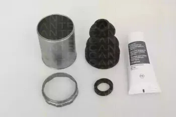 triscan-854028918