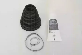 triscan-854028922