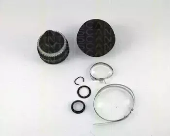 triscan-854029117