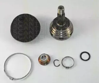 triscan-854029132