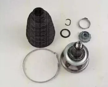 triscan-854029139
