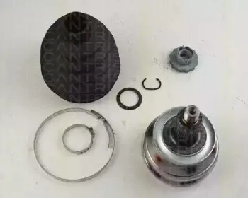 triscan-854029144