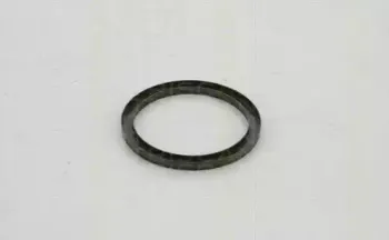 triscan-854029407
