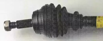 triscan-854029534
