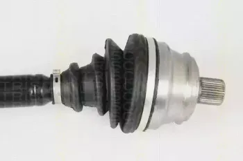 triscan-854029537