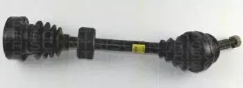 triscan-854029547