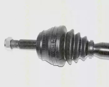 triscan-854029548