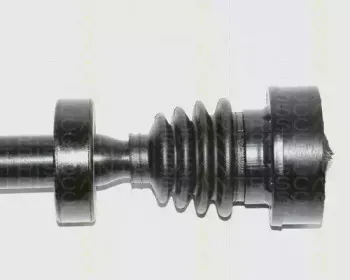 triscan-854029548