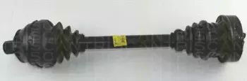 triscan-854029549