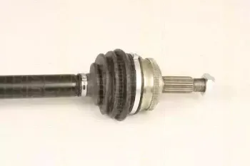 triscan-854029552