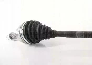 triscan-854029564