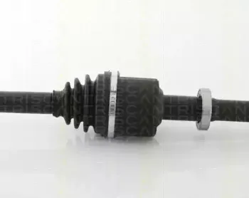 triscan-854029564