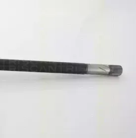 triscan-854029564