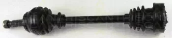 triscan-854029601