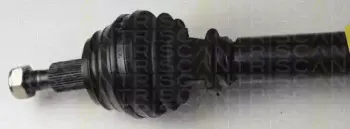 triscan-854029604