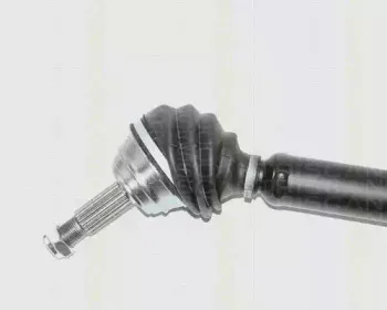 triscan-854029606