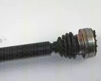 triscan-854029606