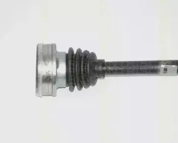 triscan-854029607