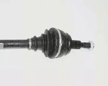 triscan-854029607