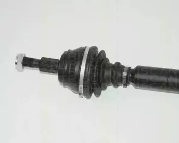 triscan-854029608