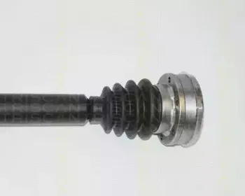 triscan-854029608