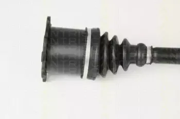triscan-854029612